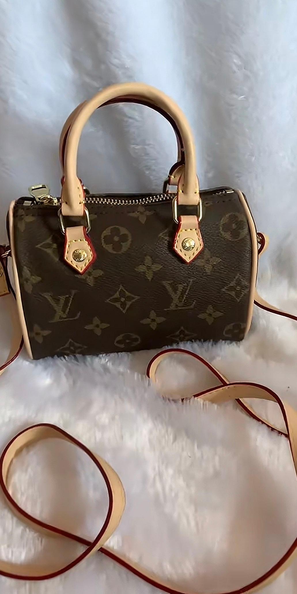 Sac Louis Vuitton
