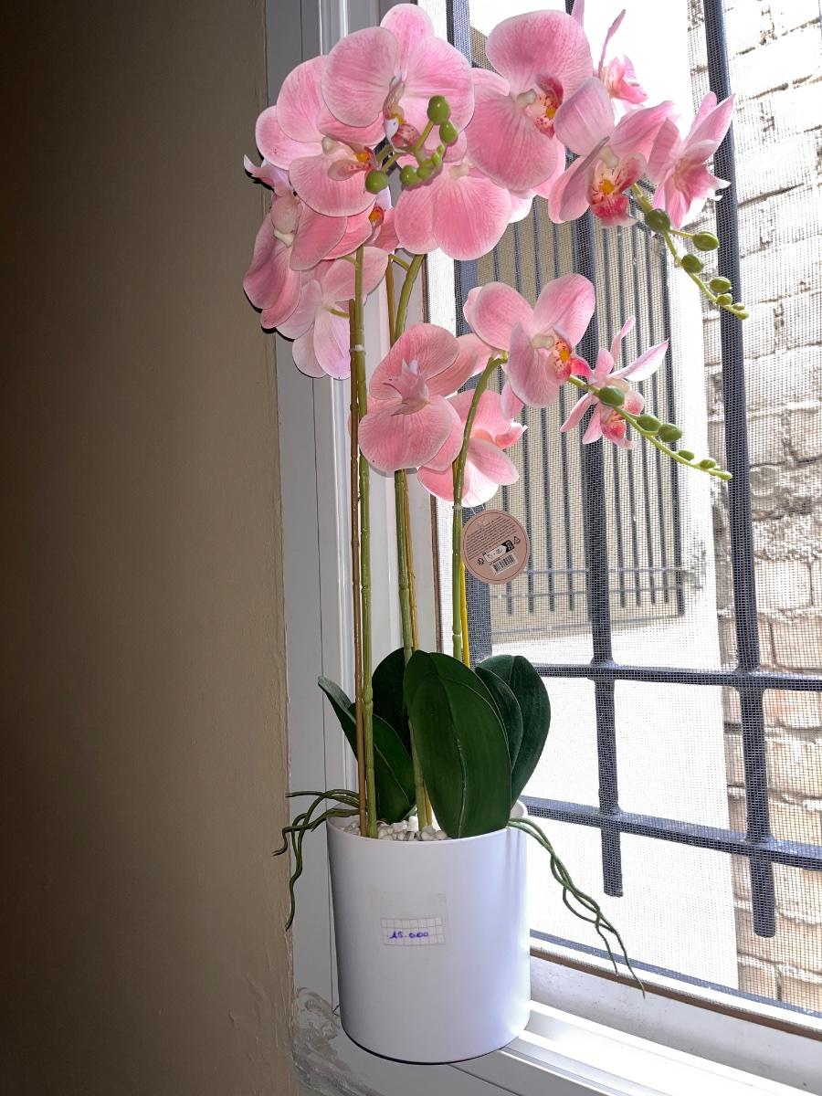 Vase à fleur noeuf